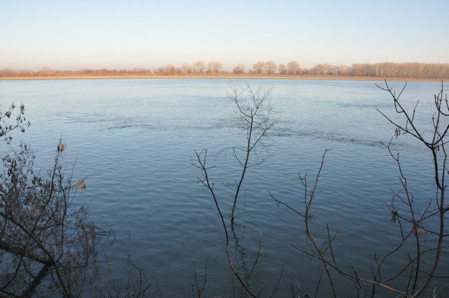 Дунайские воды грозятся поглотить остров Репида